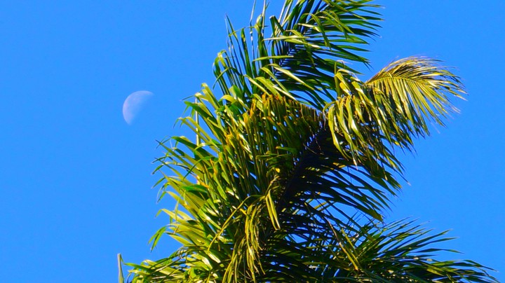 moon in day