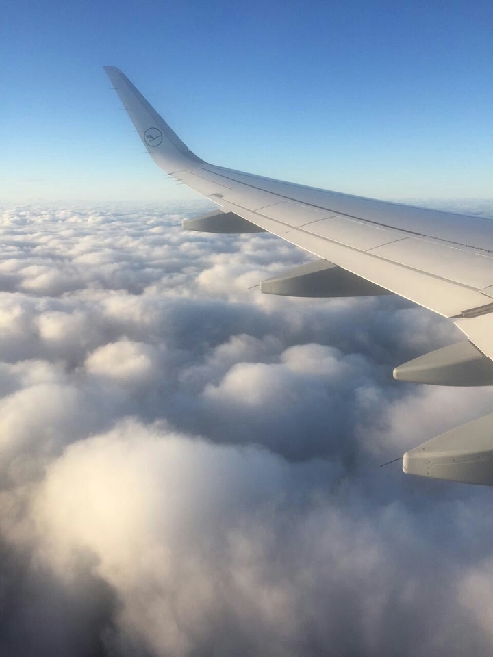 Fly