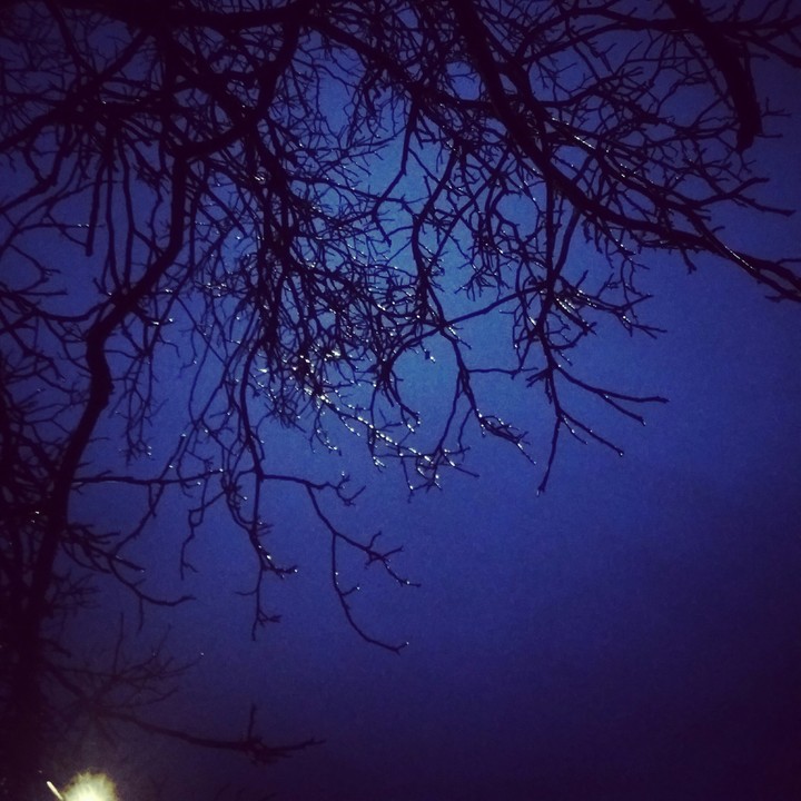 the evening