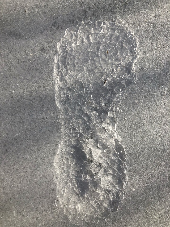 발자국