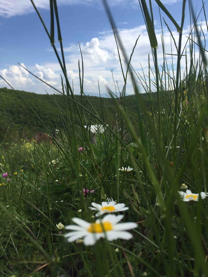 nature