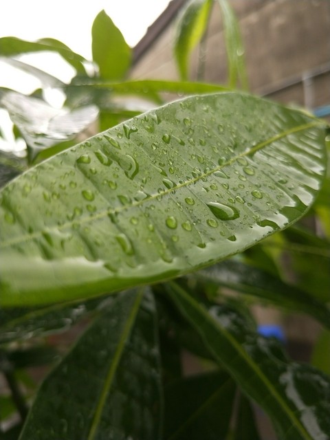 陰天