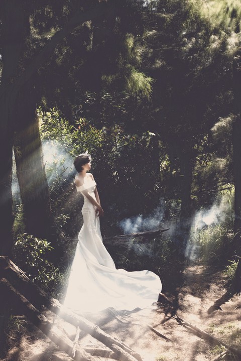 dress, tree wallpapers