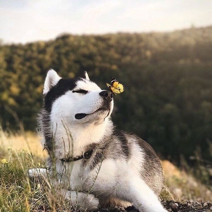 ?