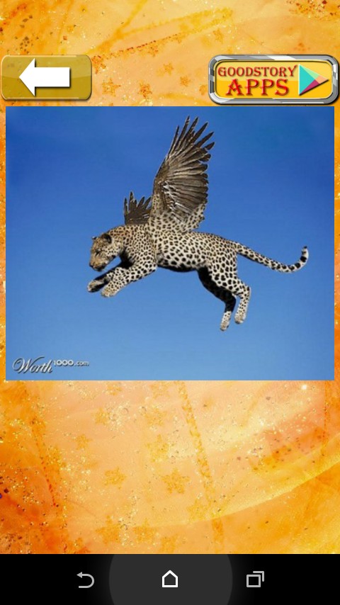 fly fly fly