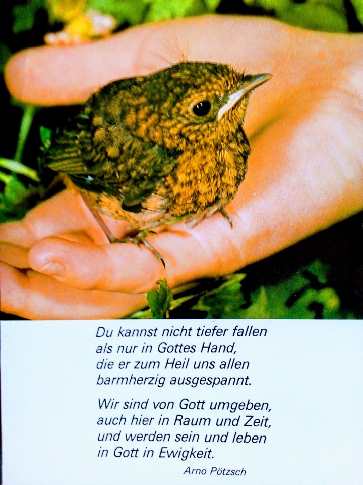 Wunder schön mann soll manchmahl inne halden