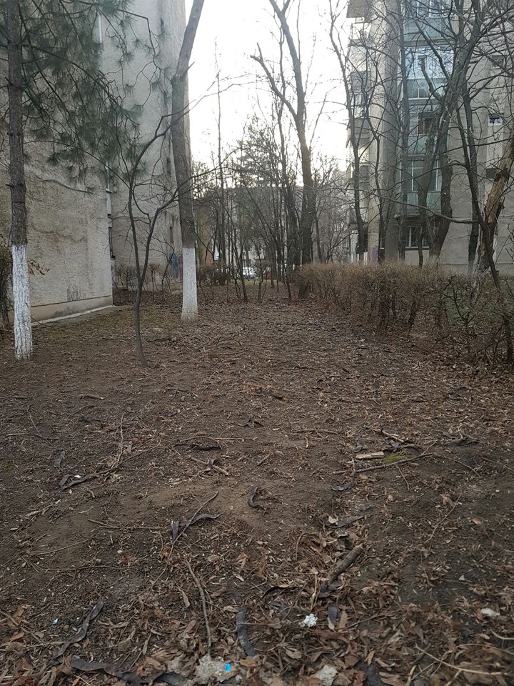 spring in bucharest