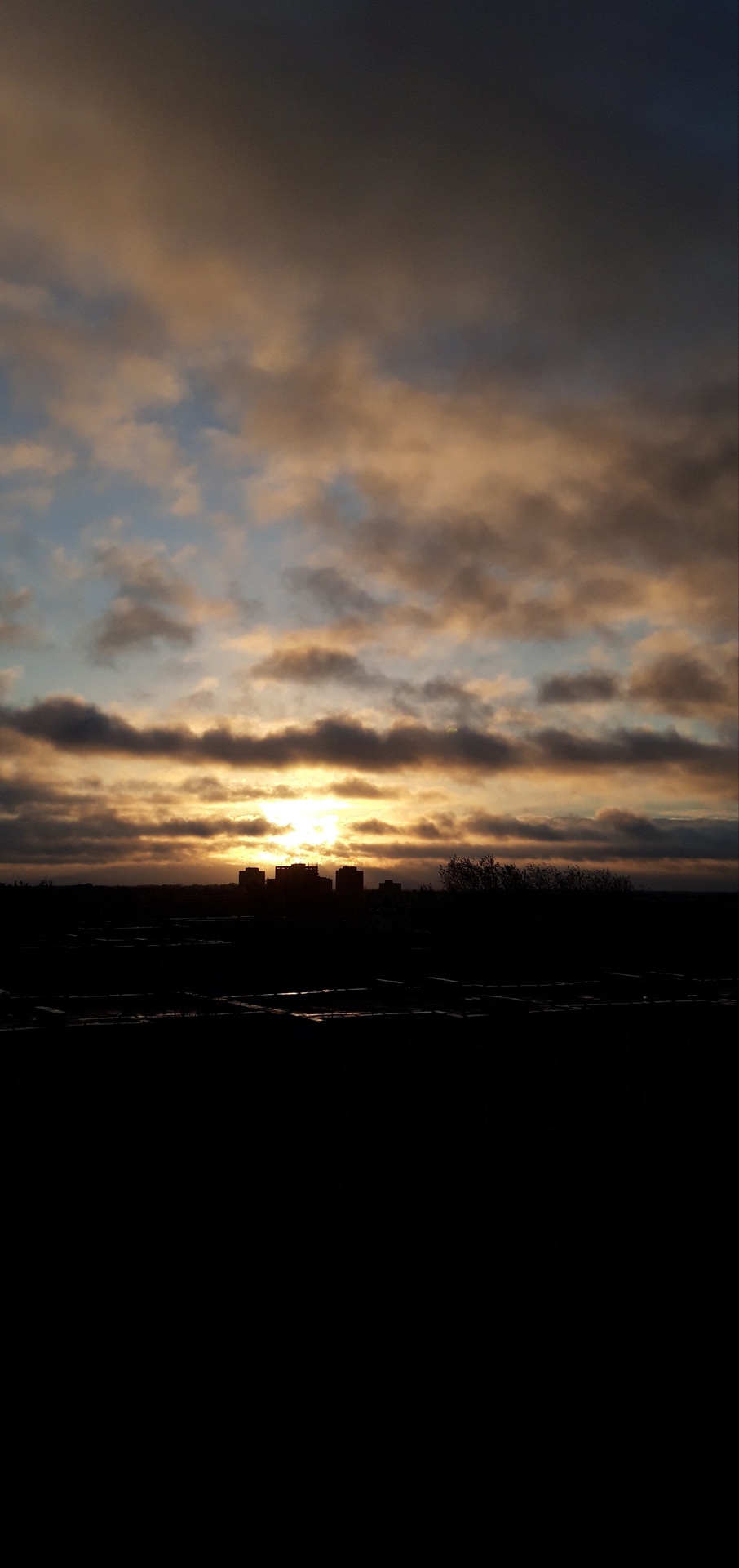 Collect beautiful moments
