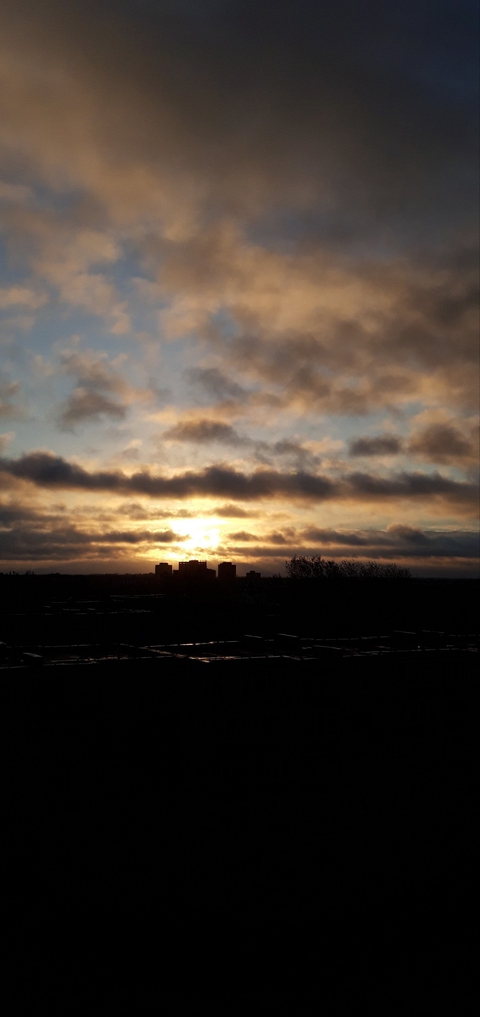 Collect beautiful moments