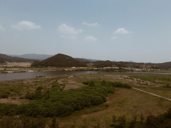 허