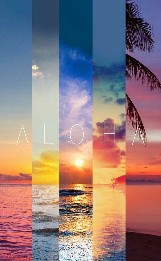 aloja