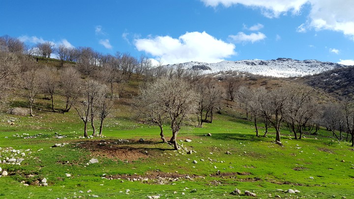 لرستان کهن
