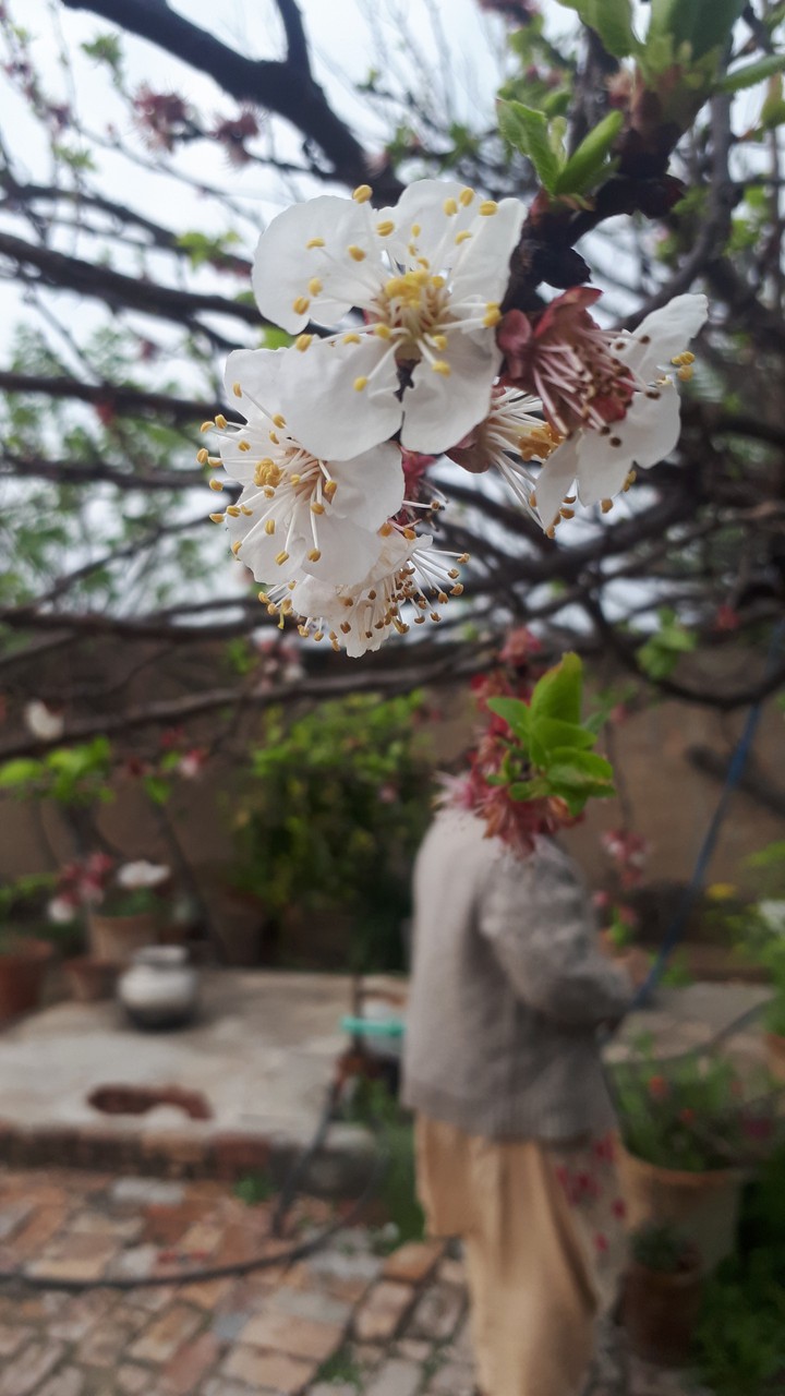 hope