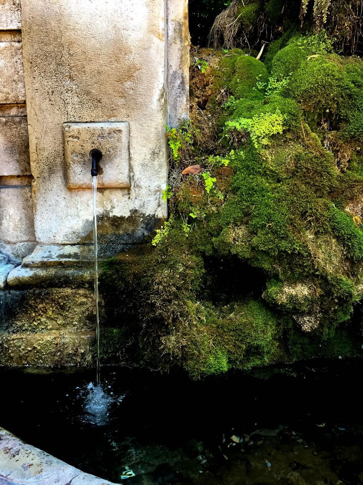 nature