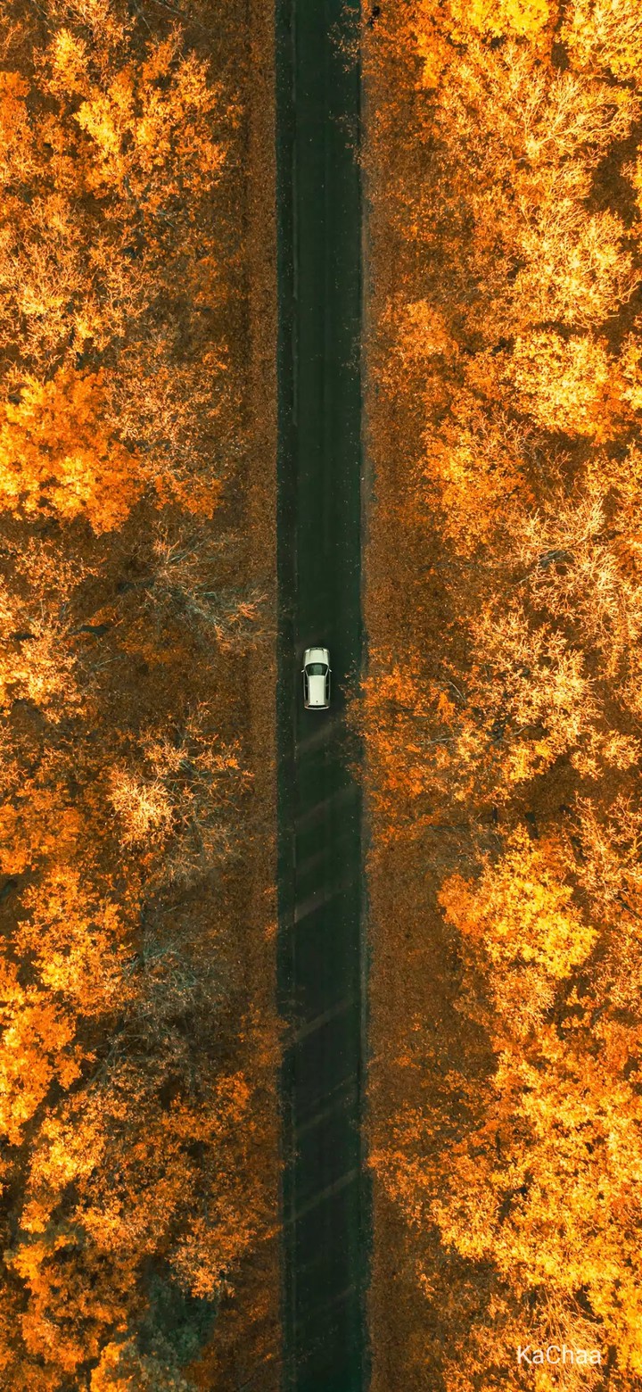 nature