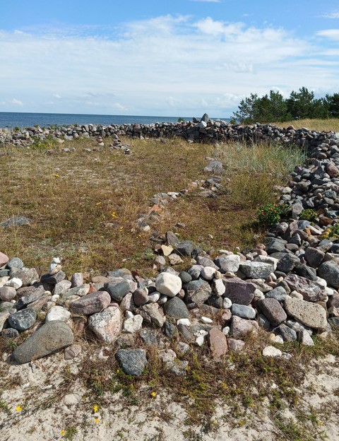 шпалери plant, bedrock