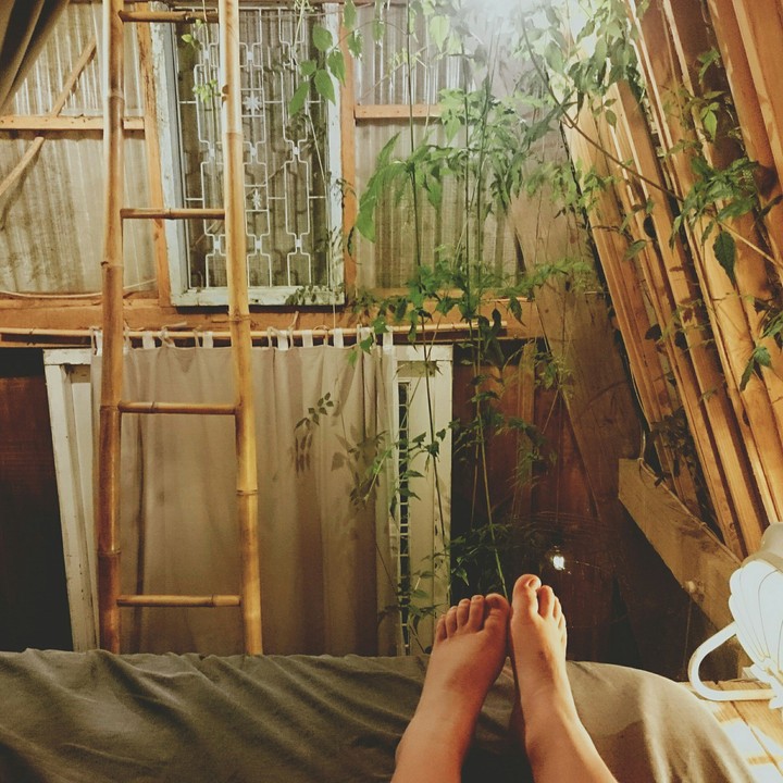 Tre's homestay