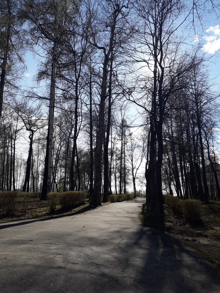 Аллея