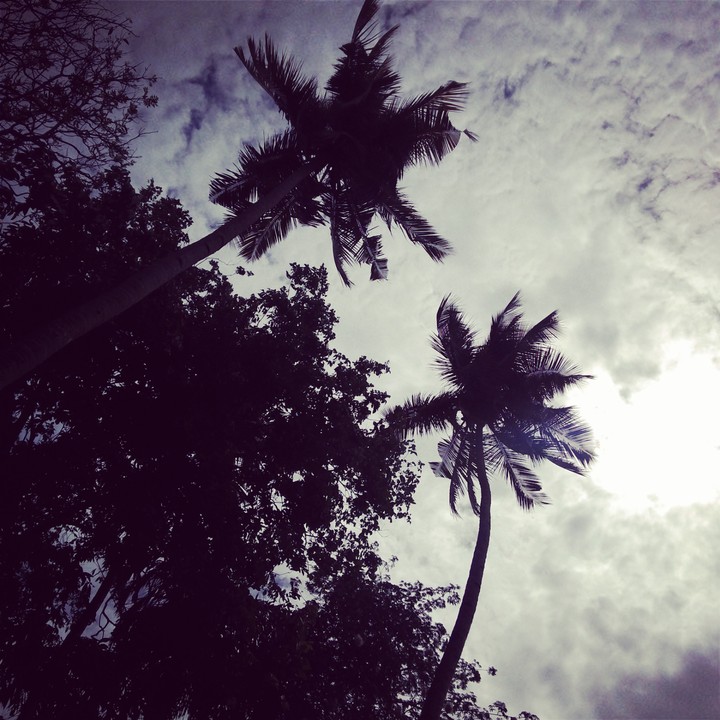 goa