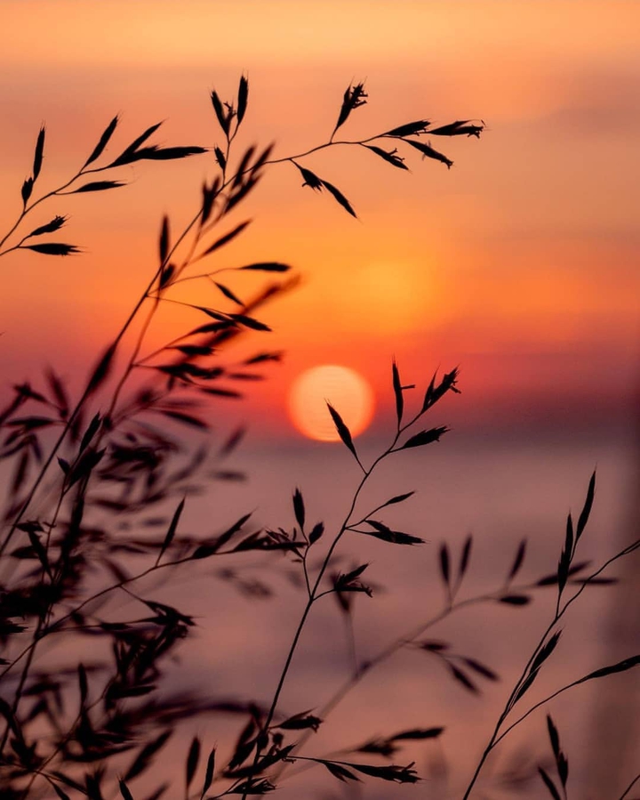 Blur sunset
