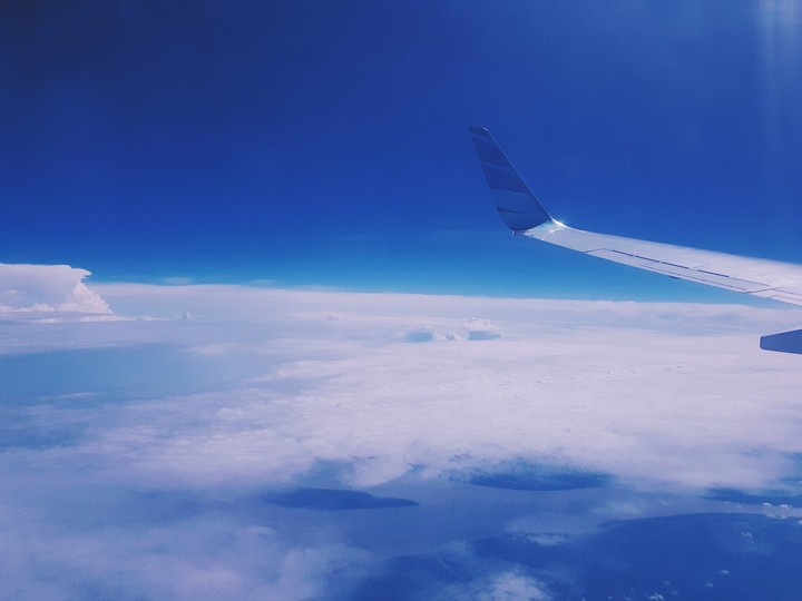 fly as a bird