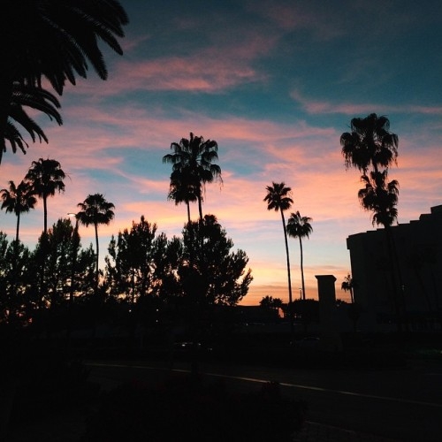 sunset