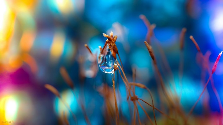Bokeh Droplets