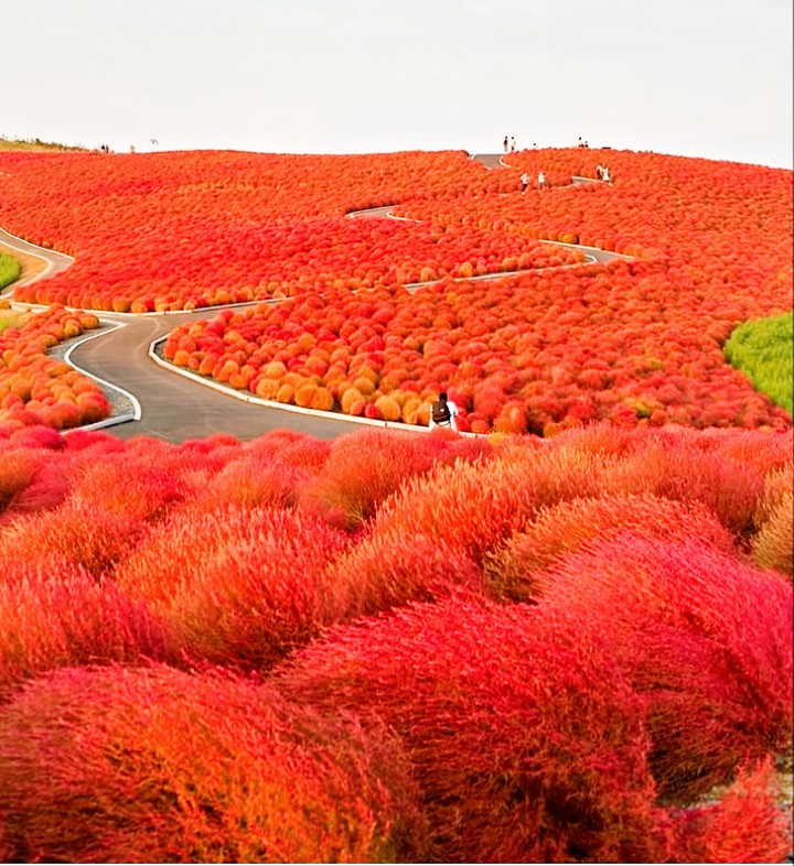 red