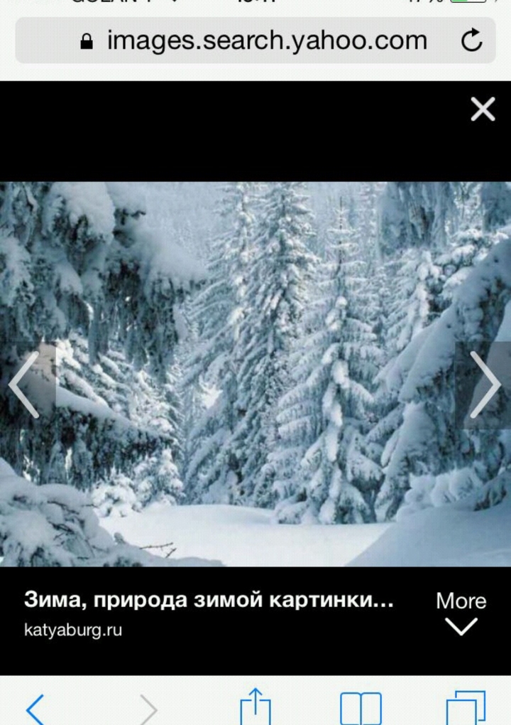 зимний лес