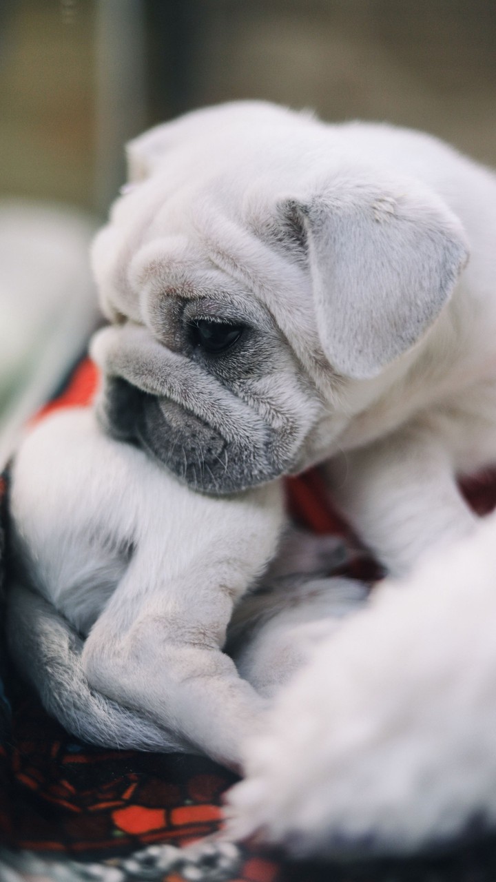 Cute