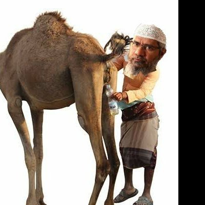 ZAKIR NAIK MEMES !!