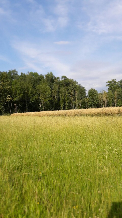 Natur