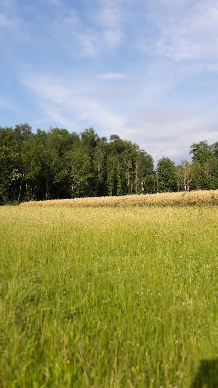Natur