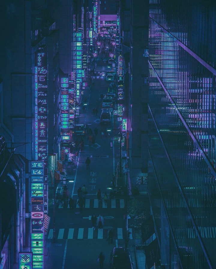 ночная жизнь