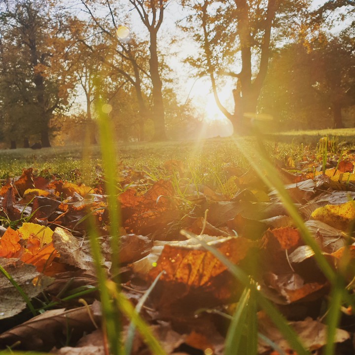 Otoño en Kensington Gardens
