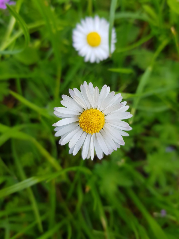 Spring day  °<>°