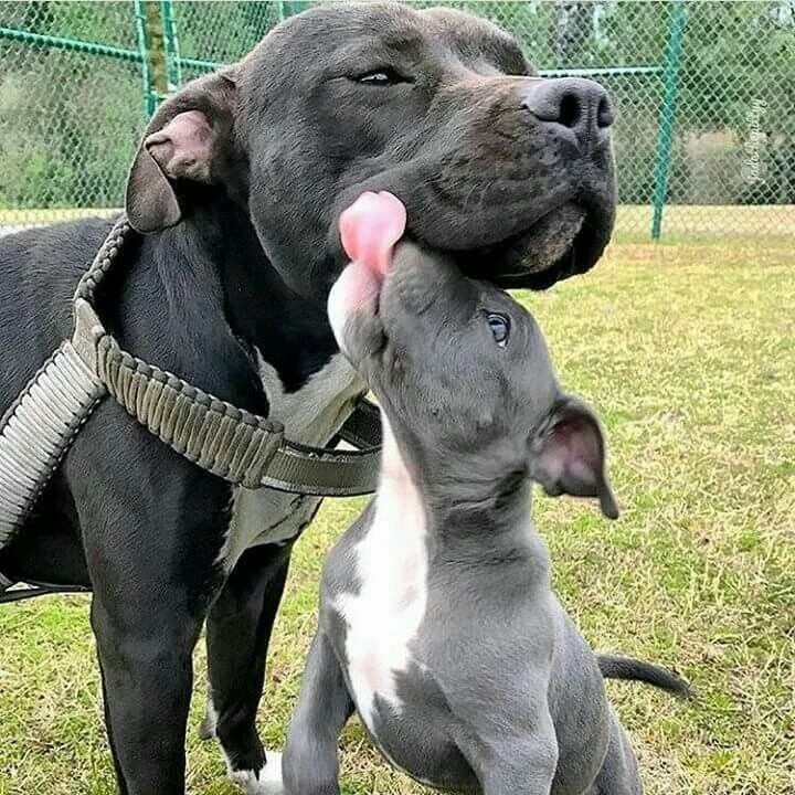 ♥️♥️♥️