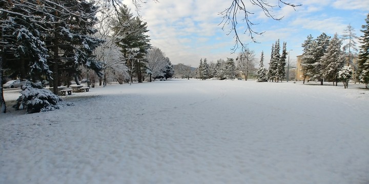 Park covered in snow