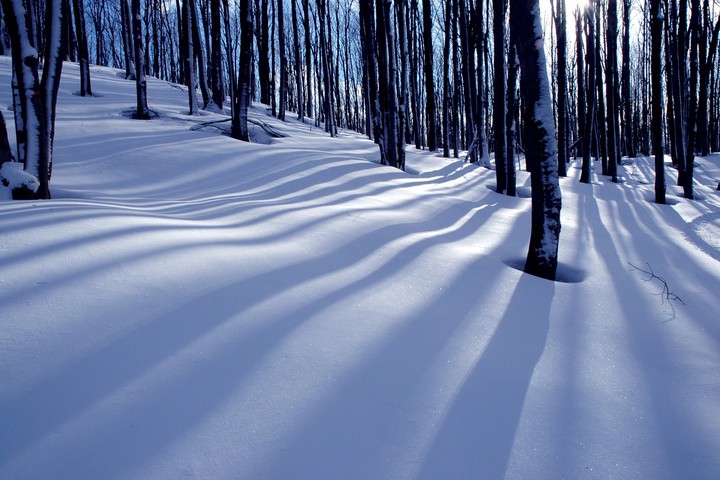 Winter