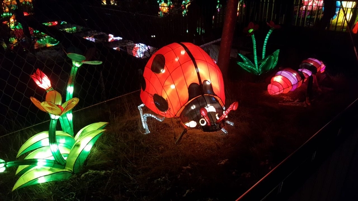 Lichterweld