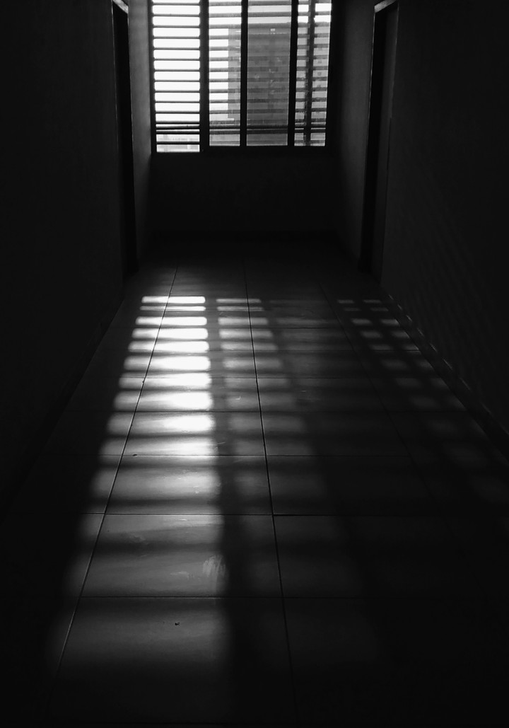 Window