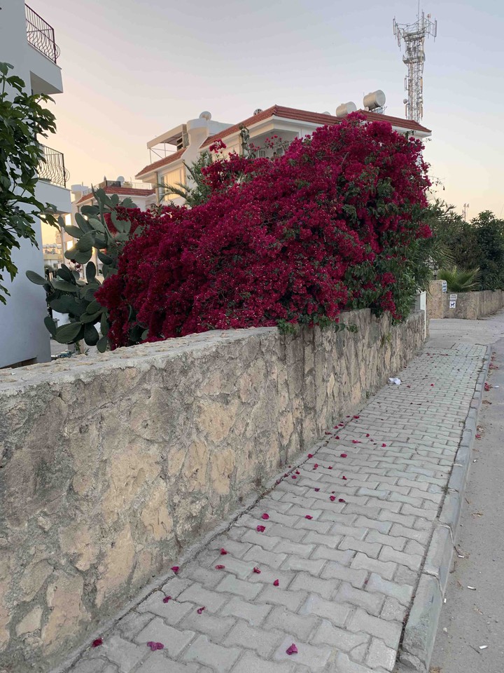 Cyprus