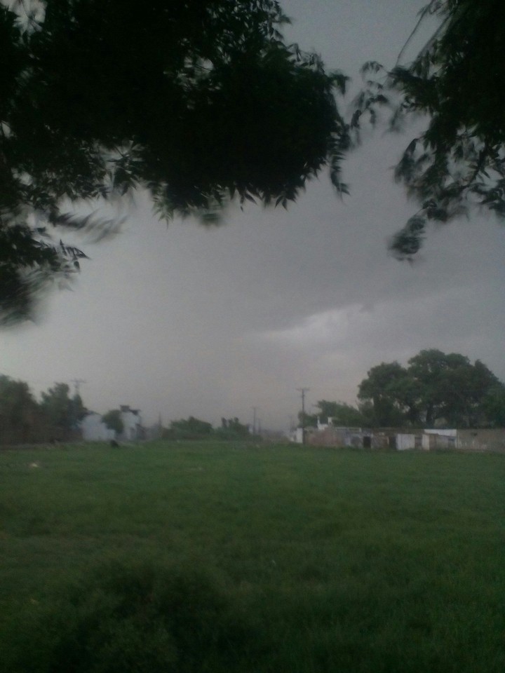 mardan