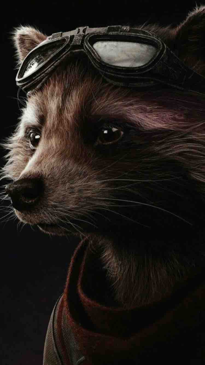 Rocket Raccoon?
