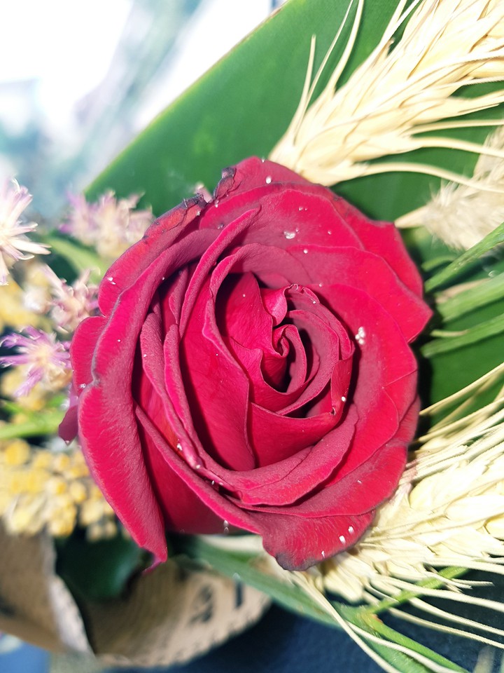 #flower