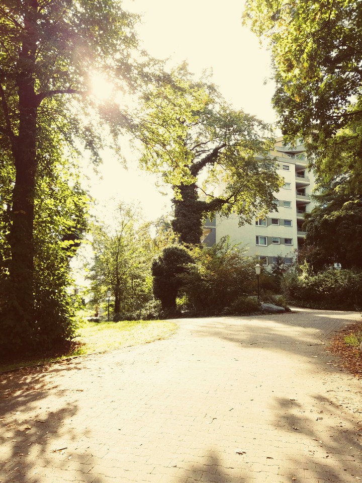 Apartment in Berlin