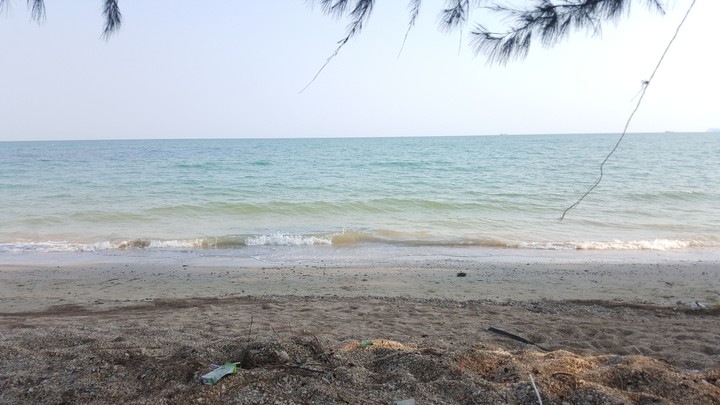 Sea