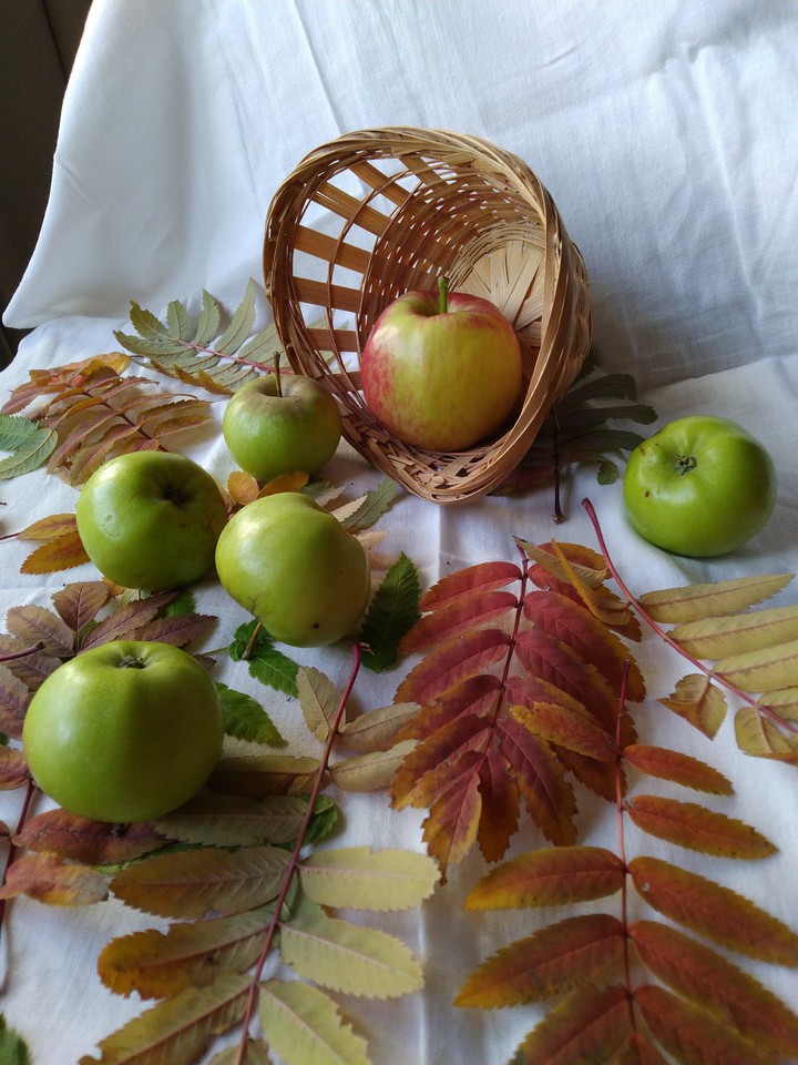 still-life