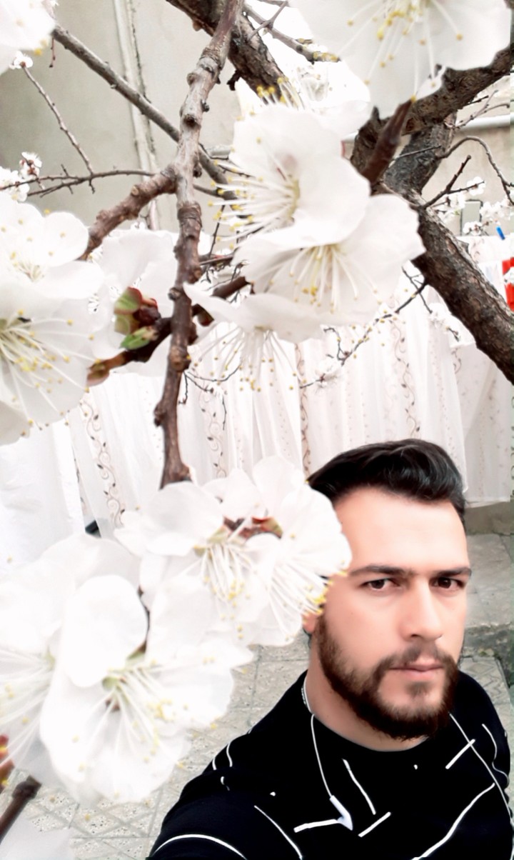بهار