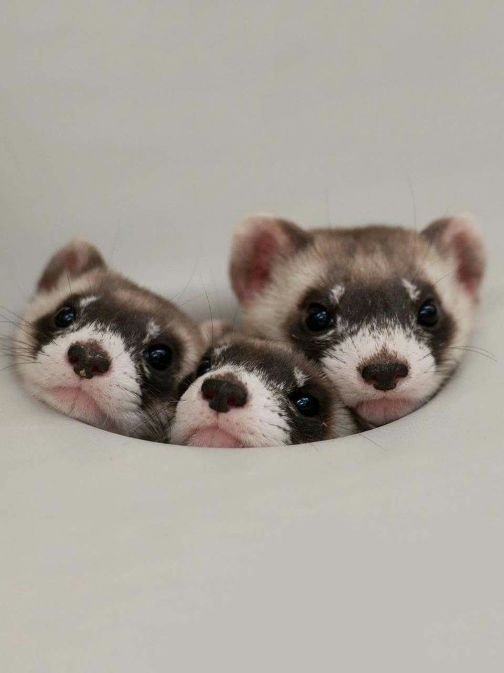 <3<3